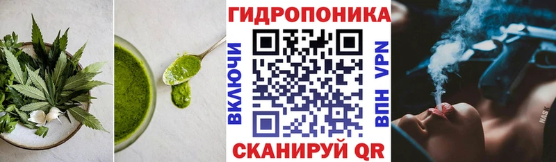 мега как зайти  Олонец  Еда ТГК конопля 