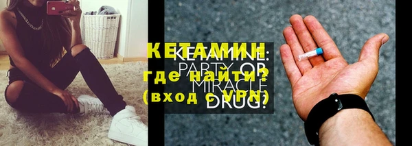 прущие грибы Новозыбков