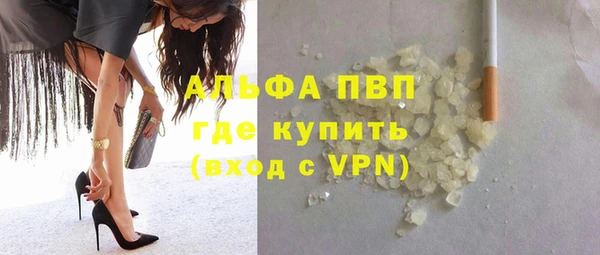 крисы Алзамай
