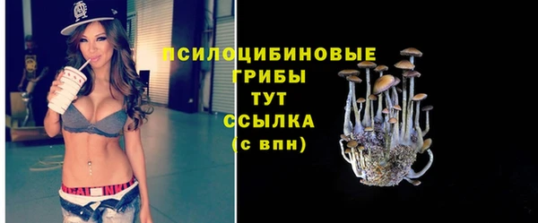 МДМА Алексеевка