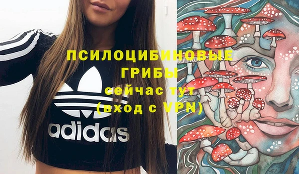 МДМА Алексеевка