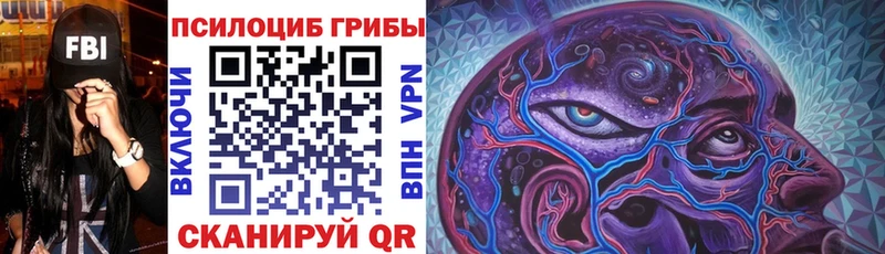 где можно купить   МЕГА ссылка  Псилоцибиновые грибы Cubensis  Олонец 